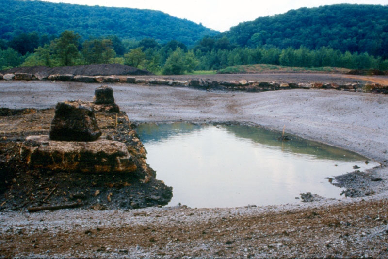 Building Footprints Emerge During Wetland Construction