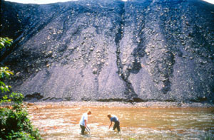 workers in water