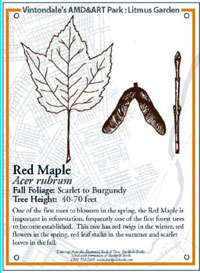 AMD&ART: The Project, 1994 – 2005