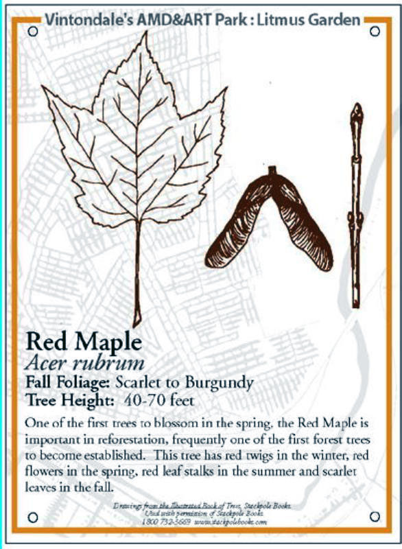 Signage for Litmus Garden Trees