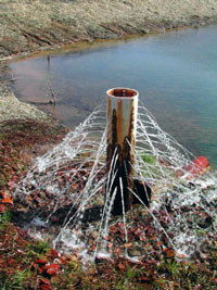 AMD&ART: The Project, 1994 – 2005