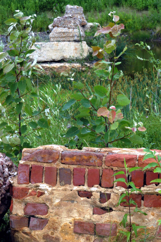Ammonia Plant Foundations Still standing in Wetlands