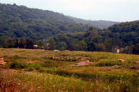 AMD&ART: The Project, 1994 – 2005