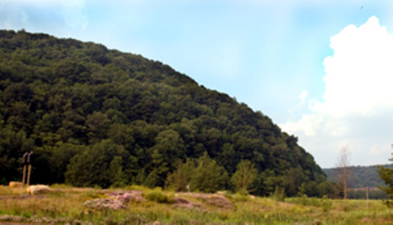 Site of Washery and Power House, June 2005